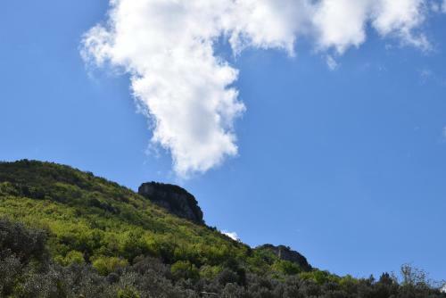 B&B Il Conte