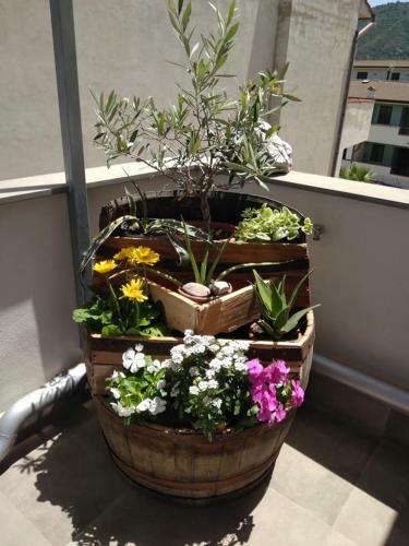 Apartamento Via Ziino 70