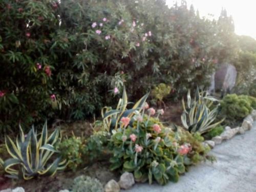 Apartamento Il Giardino Delle Rose A