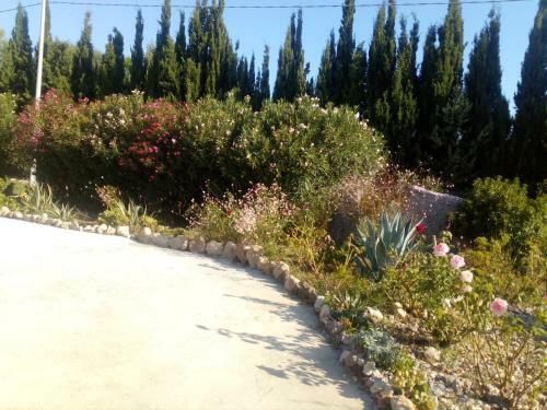 Apartamento Il Giardino Delle Rose A