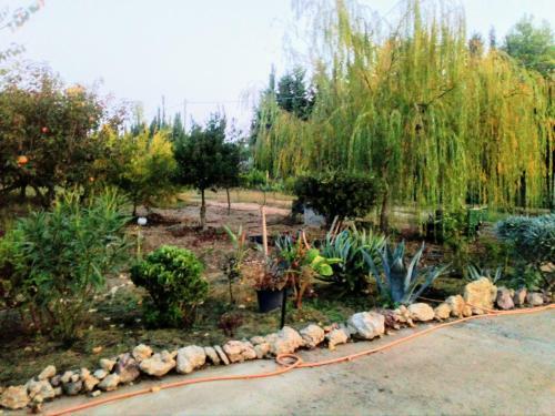 Apartamento Il Giardino Delle Rose A