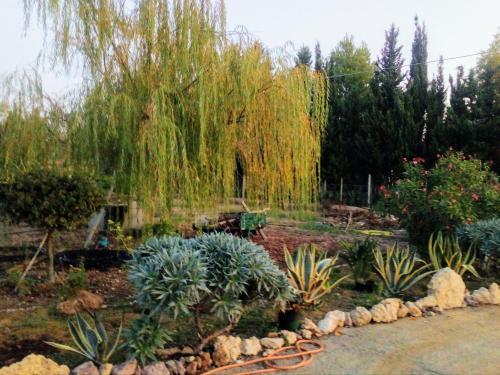 Apartamento Il Giardino Delle Rose A