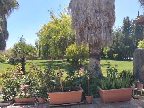 Apartamento Il Giardino Delle Rose A