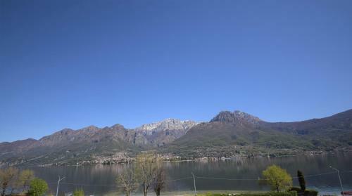 Apartamento Apt Jolanda Bellagio Wild Flowers