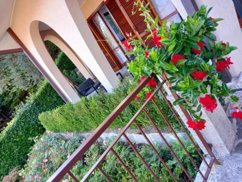 Apartamento Le Grigne Guesthouse - The Garden