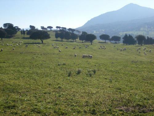 Agroturismo Agriturismo Usurtala