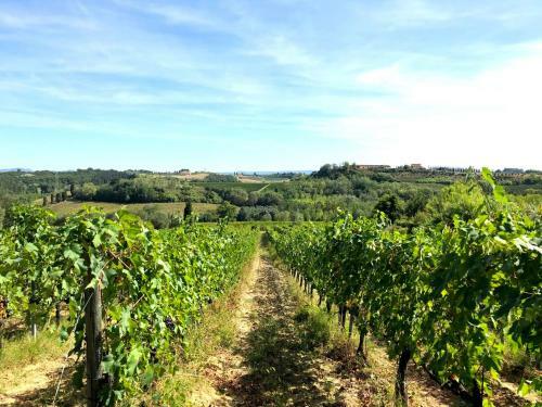 Apartamento La Ginestra - Terrazza