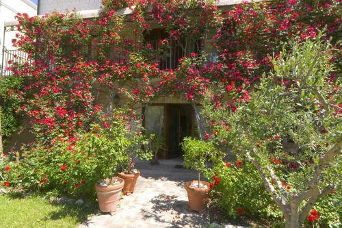 Hostal Velia Mare