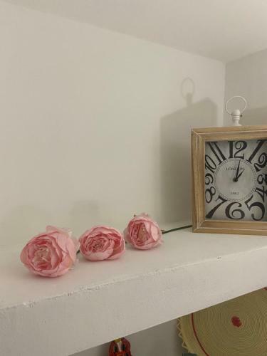 B&B Peonia Orgosolo