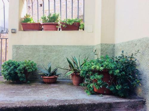Apartamento Da Angela