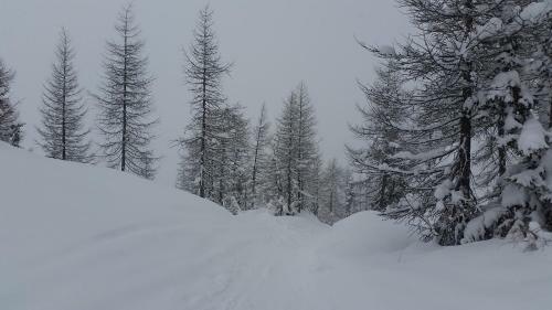 Apartamento Casa Del Cirillo