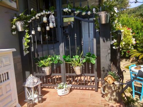 Bed & Breakfast Jasmine Cottage