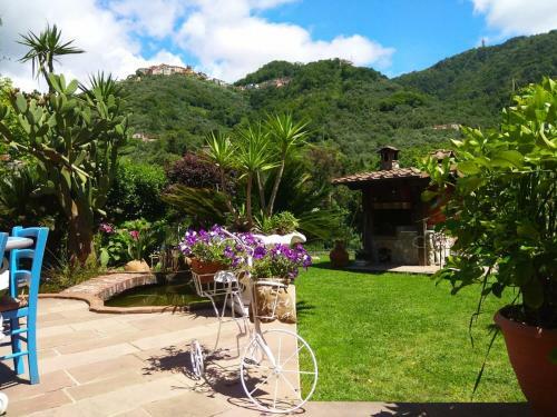 Bed & Breakfast Jasmine Cottage