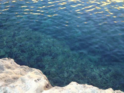 Apartamento Figoli Guesthouse