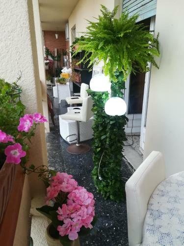 Bed & Breakfast Domus Aurea