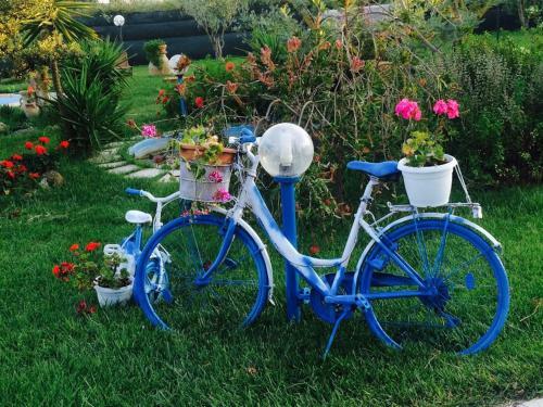 Bed & Breakfast Il Bouganville