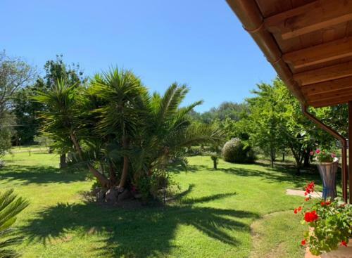 Bed & Breakfast Il Bouganville