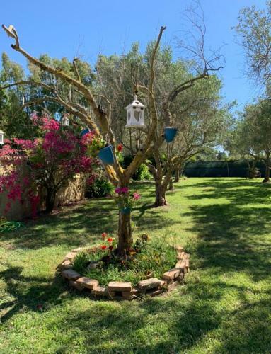 Bed & Breakfast Il Bouganville