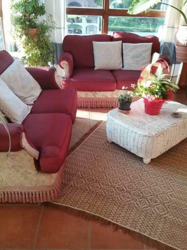 Bed & Breakfast Il Bouganville