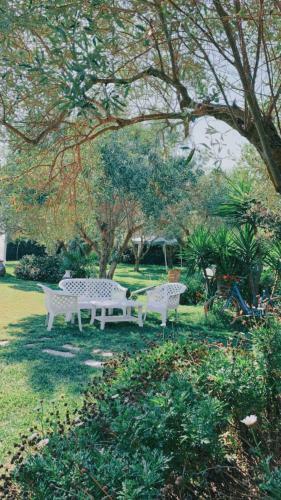 Bed & Breakfast Il Bouganville