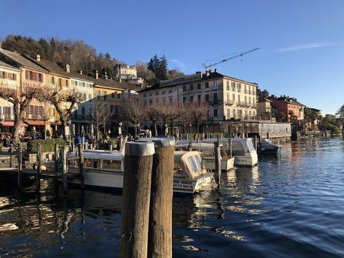 Orta Lake Gippina Jr