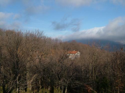 Casa Nel Bosco