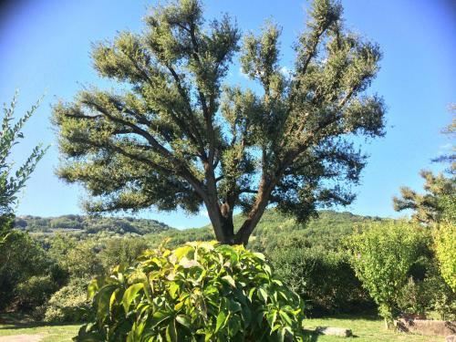 Villa Casale Eredit�