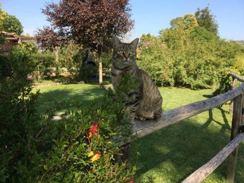 Villa Casale Eredit�
