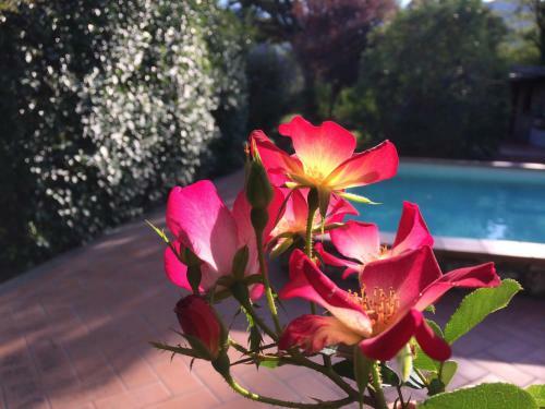 Villa Casale Eredit�