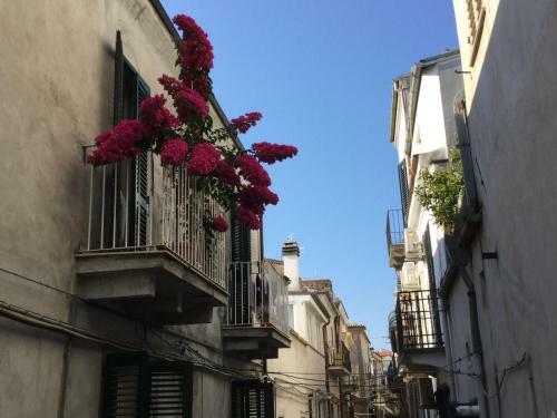 Apartamento Il Ponticello