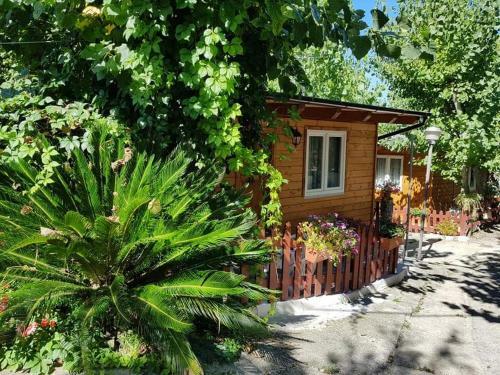 Camping Onda Azzurra