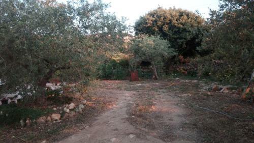 Apartamento Residence Degli Ulivi