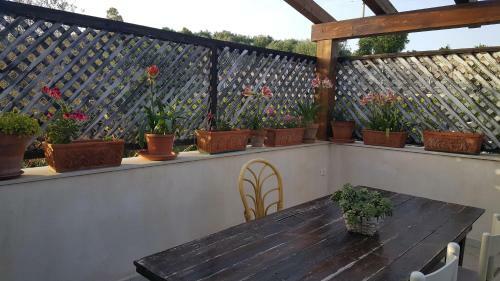 Bed & Breakfast Teodora House