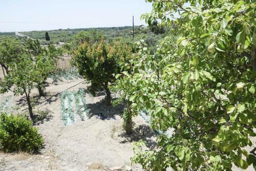 Agroturismo Jardinu