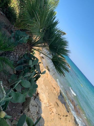 Apartamento Casa Vacanze "la Casetta"