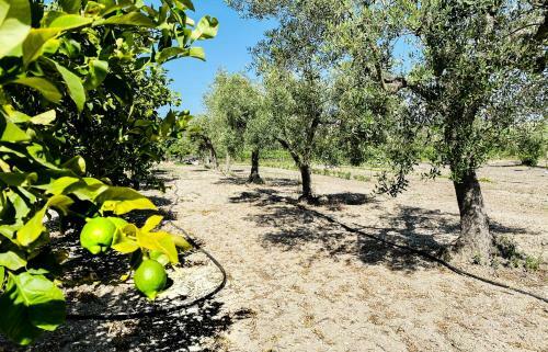 Villa Tenuta Le Chorisie