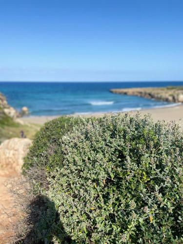 Biddiccia Home In Sicily
