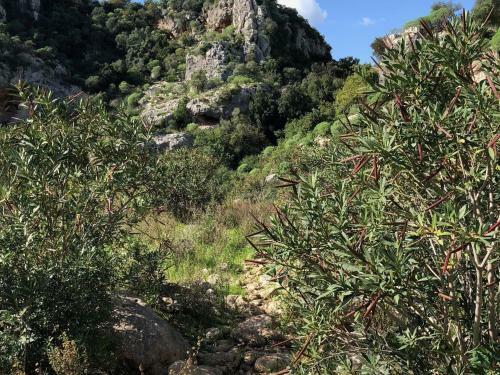 Holiday Home Noto