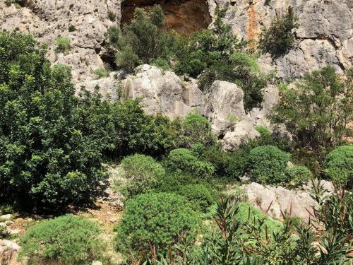 Holiday Home Noto