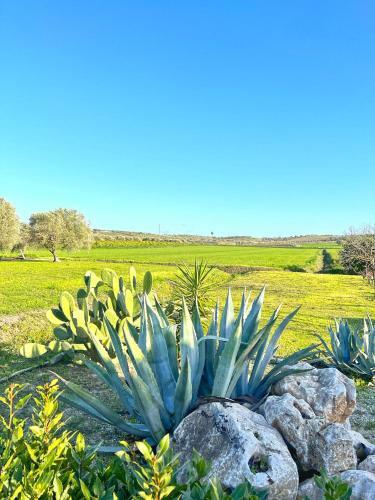 Calauriia Villas
