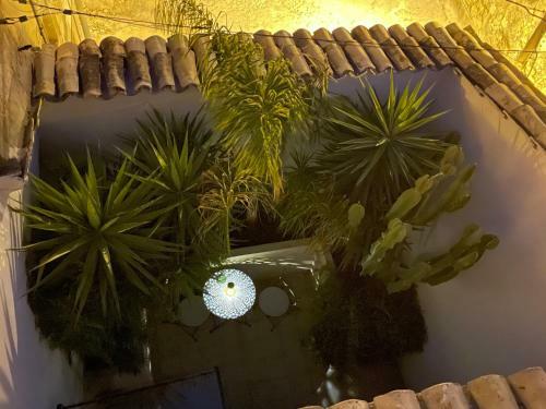 Macall� Suite Noto, Charme E Relax Con Giardino