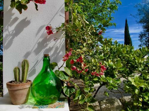Villa Fico D'india - The Prickly Pear House