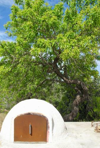 Villa Fico D'india - The Prickly Pear House