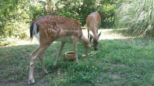 Apartamento Cascina Bricco