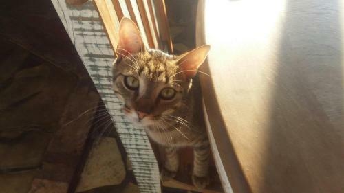 Apartamento Cascina Bricco