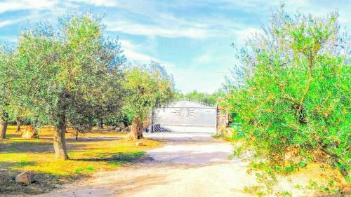 Agroturismo Il Paradiso Degli Ulivi