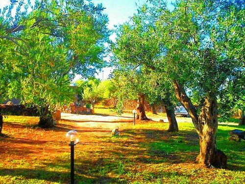 Agroturismo Il Paradiso Degli Ulivi