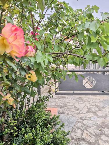 Casa Il Giardino