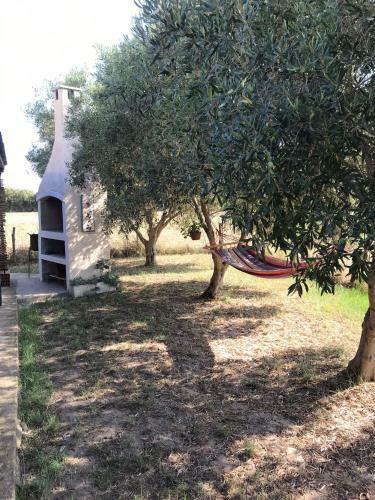 Apartamento Casa Varvis