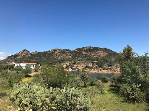 Villa Sa Curcurica